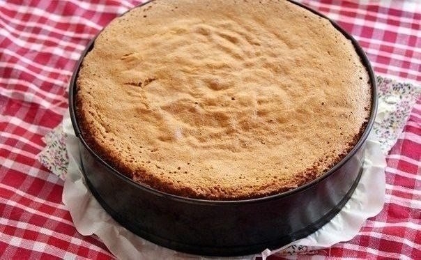 Очень вкусный нежный медовый бисквит. Очень вкусный нежный медовый бисквит.