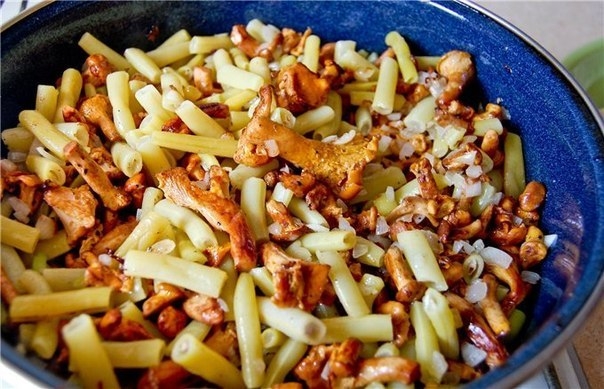 КАЛЬМАР ФАРШИРОВАННЫЙ ГРИБАМИ КАЛЬМАР ФАРШИРОВАННЫЙ ГРИБАМИ