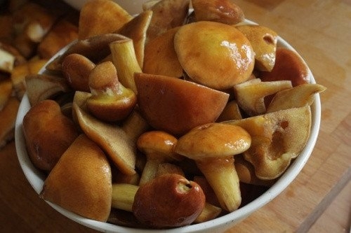 Маринованные маслята Маринованные маслята