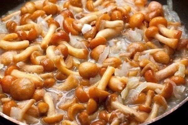 Куриные зразы с грибами Куриные зразы с грибами