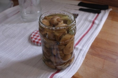 Маринованные маслята Маринованные маслята