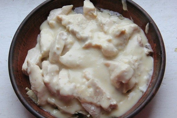 Куриная грудка в соусе с грибами Куриная грудка в соусе с грибами
