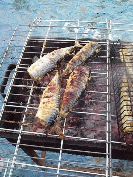 Скумбрия на мангале Скумбрия на мангале