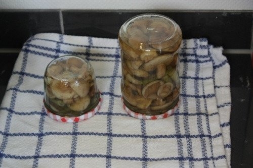 Маринованные маслята Маринованные маслята