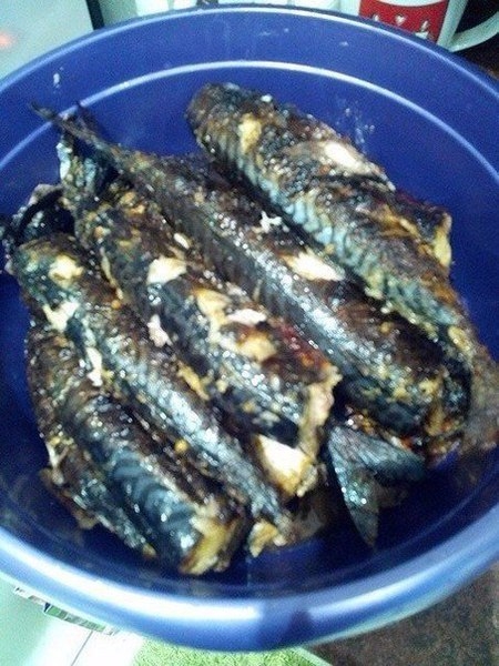 Скумбрия на мангале Скумбрия на мангале