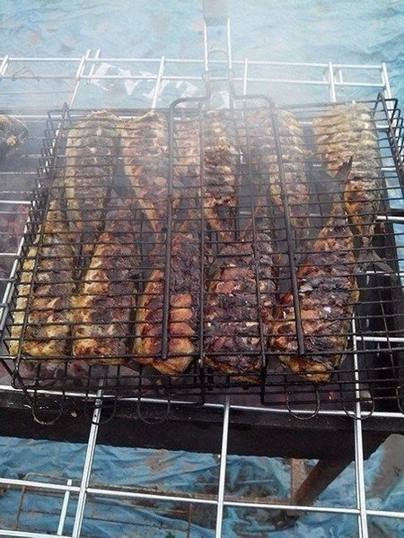 Скумбрия на мангале Скумбрия на мангале