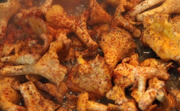 Паста с лисичками и пармезаном Паста с лисичками и пармезаном