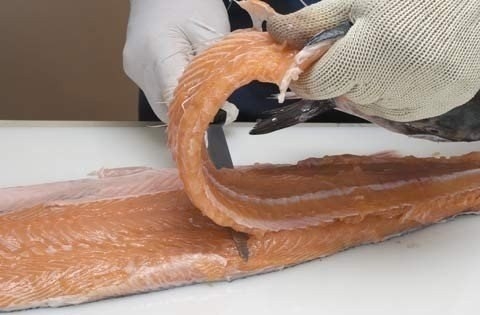 Как разделать лосося и отделить филе от кости Как разделать лосося и отделить филе от кости