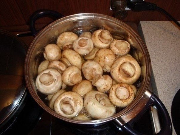 Мясо в сырном соусе Мясо в сырном соусе