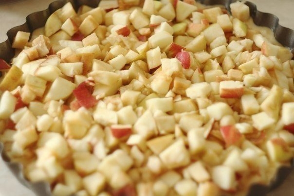 Шарлотка с яблоками Шарлотка с яблоками