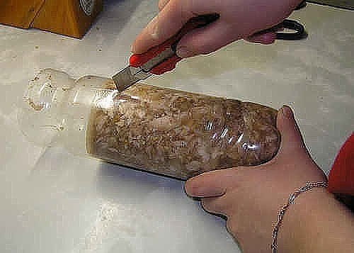 Куриный рулет в бутылке. Куриный рулет в бутылке.