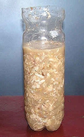 Куриный рулет в бутылке. Куриный рулет в бутылке.