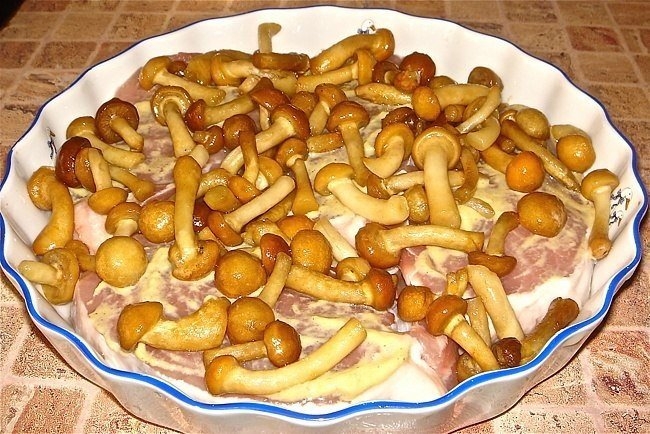 Мясо под шубой Мясо под шубой