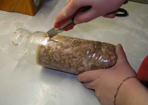 Куриный рулет Куриный рулет