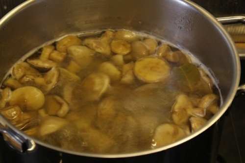 Маринованные маслята Маринованные маслята
