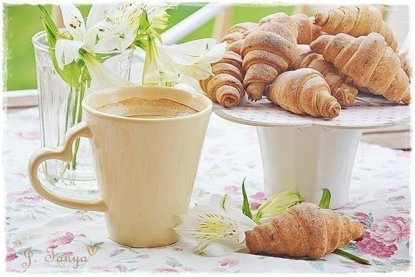 ÐÐ¾Ñ‚Ð¾ Ðº Ñ€ÐÑ†ÐÐ¿Ñ‚Ñƒ: Ð Ð¾Ð³ÐÐÐ¸ÐºÐ¸ Ñ Ð¿Ð¾Ð²Ð¸Ð´ÐÐ¾Ð¼. 