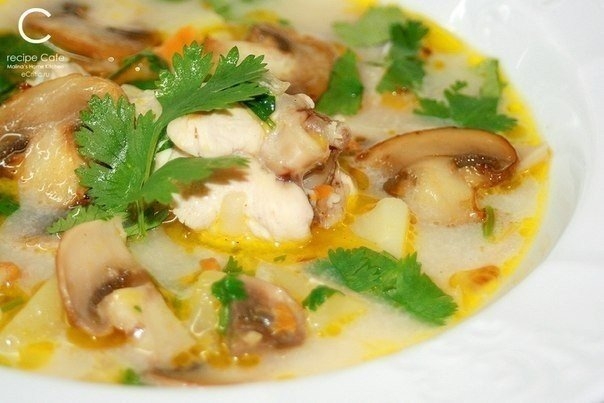 Сырный суп рецепт с курицей и плавленным сыром и грибами с пошагово в
