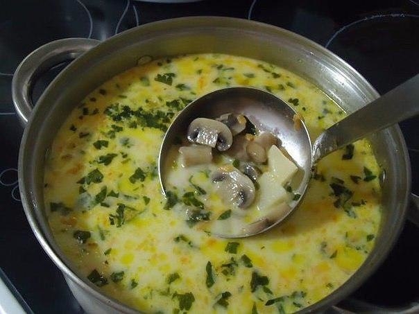 Фото к рецепту: Сырный суп с грибами 