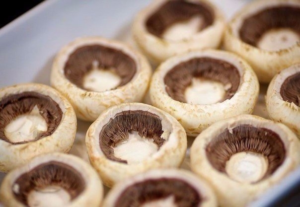 ÐÐ¾Ñ‚Ð¾ Ðº Ñ€ÐÑ†ÐÐ¿Ñ‚Ñƒ: Ð¨ÐÐ¼Ð¿Ð¸Ð½ÑŒÐ¾Ð½Ñ‹ Ñ ÐºÑƒÑ€Ð¸Ñ†ÐÐ¹ Ð¸ ÑÑ‹Ñ€Ð¾Ð¼Â 