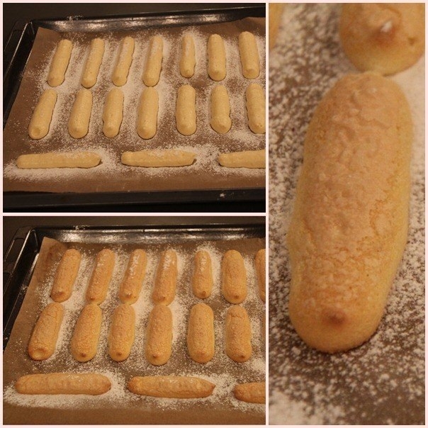 Савоярди печенье печь