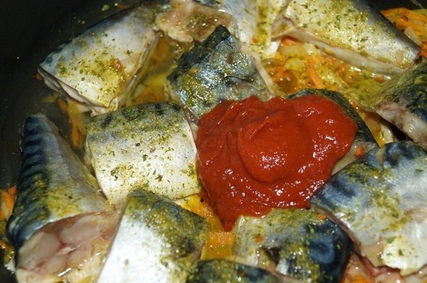 Рецепт скумбрии, тушеной с морковью и луком. Рецепт скумбрии, тушеной с морковью и луком.