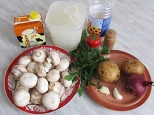 Грибной суп-пюре из шампиньонов. Грибной суп-пюре из шампиньонов.