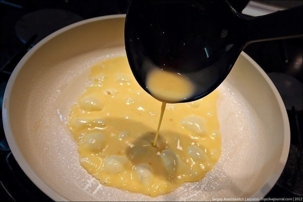 Омлет по-японски