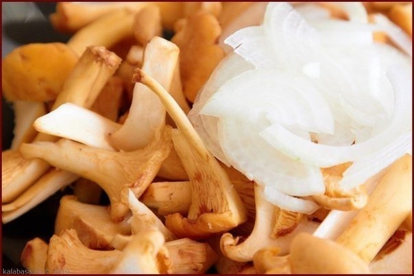 Пирог с грибами, сметаной и сыром Пирог с грибами, сметаной и сыром