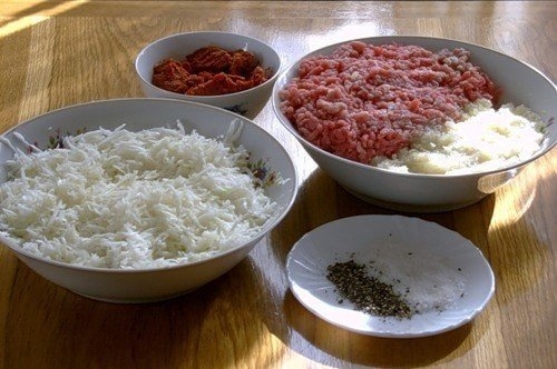 Капустники. Капустники.