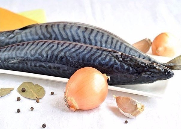Скумбрия маринованная Скумбрия маринованная