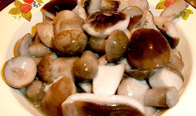 Маринад для грибов (опят, маслят, белых и т. д. ) 