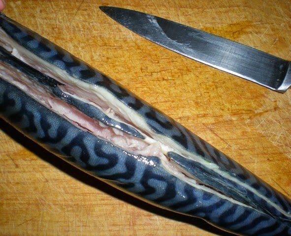 Скумбрия фаршированная рисом Скумбрия фаршированная рисом