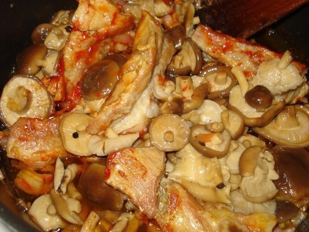Свинина, тушёная с грибами и капустой Свинина, тушёная с грибами и капустой