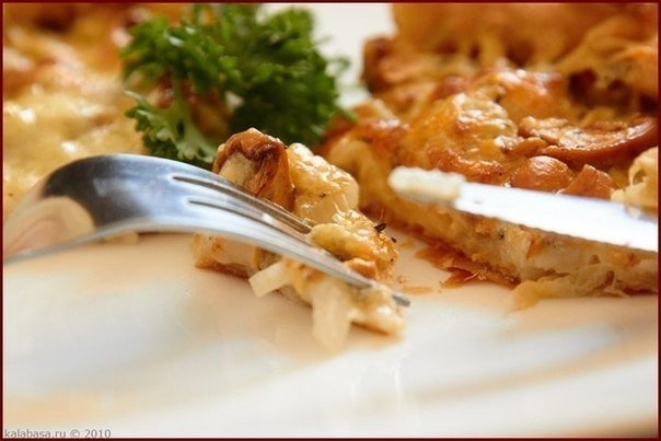 Пирог с грибами, сметаной и сыром Пирог с грибами, сметаной и сыром