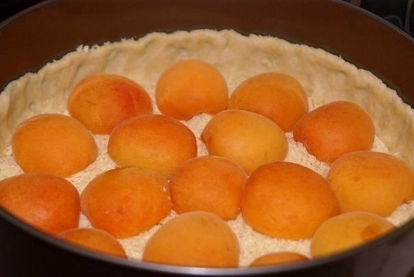 Творожный пирог с абрикосами Творожный пирог с абрикосами