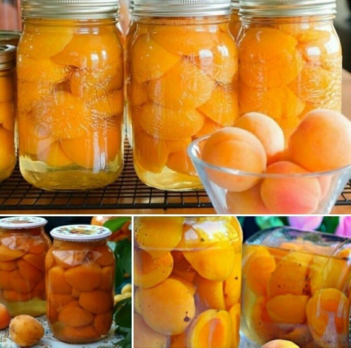 Консервированные абрикосы в сиропе