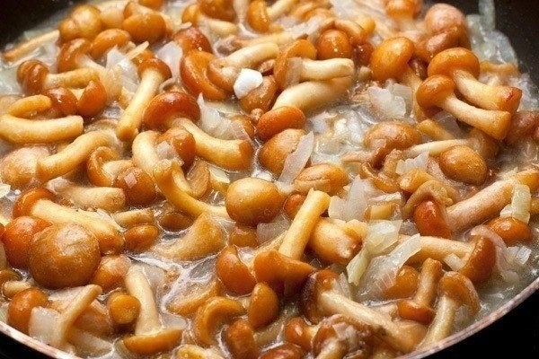 Фото к рецепту: Куриные зразы с грибами
